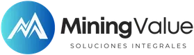 Mining Value